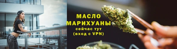 дмт Заводоуковск