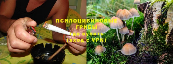 дмт Заводоуковск