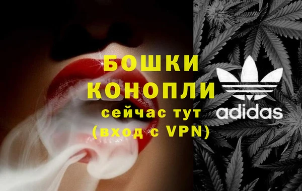 дмт Заводоуковск
