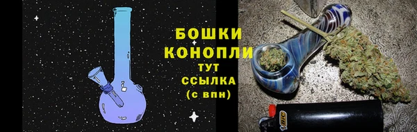 дмт Заводоуковск