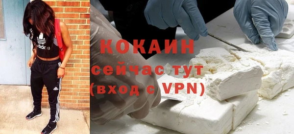 дмт Заводоуковск