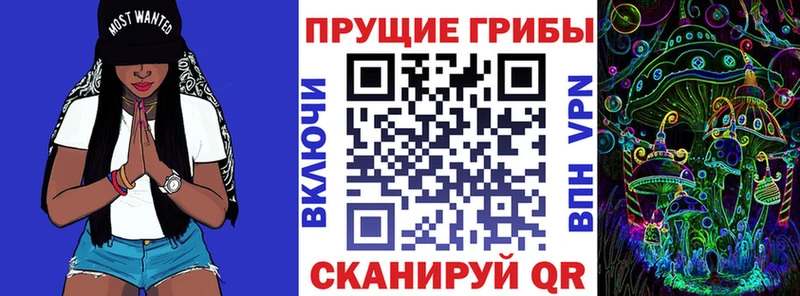 Купить закладки  Заозёрный  Галлюциногенные грибы Cubensis 