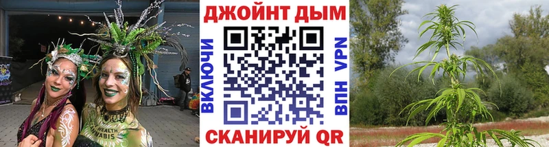 Шишки марихуана Bruce Banner Заозёрный